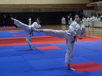 Чемпионат и первенство Югры по тхэквондо: Спорт, Мастерство и Единство Чемпионат и первенство Югры по тхэквондо: Спорт, Мастерство и Единство