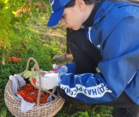 В Белоярском запустили акцию "Дары Арктики для СВОих" В Белоярском запустили акцию "Дары Арктики для СВОих"